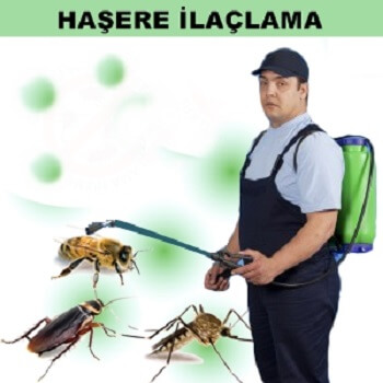 Hatay Böcek İlaçlama